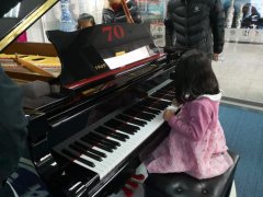 青岛星海钢琴专卖店在什么地方？