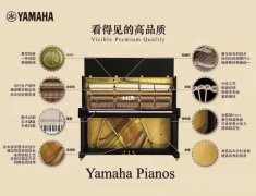 青岛雅马哈钢琴质量是真的好吗？
